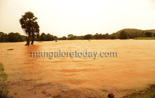Moodushedde floods